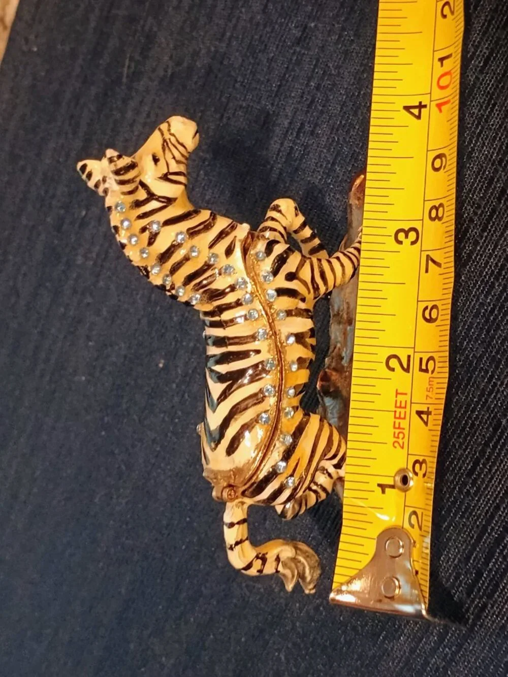 N/A zebra jeweled